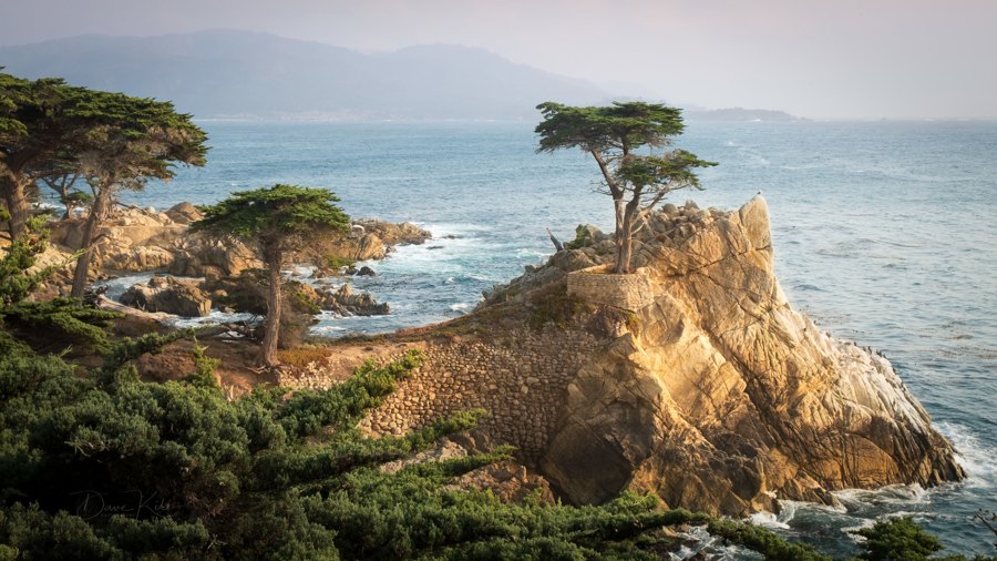 Lone Cypress, California