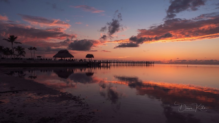 Florida1
