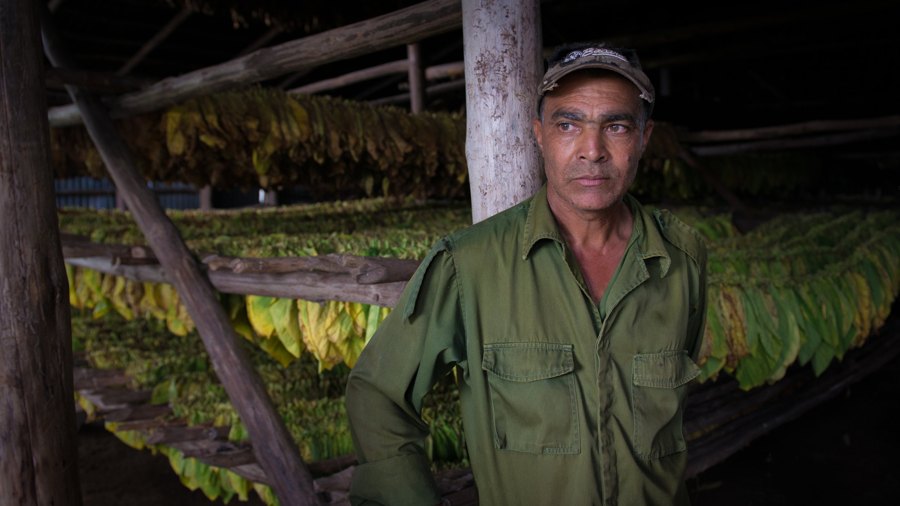 Tobacco Farmer, Viñales, Cuba