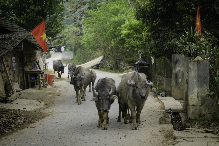 Lo Cai, Vietnam